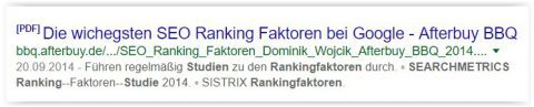 Abbildung eines SERP-Snippets, hier mit Rechtschreibfehler eher suboptimal gelöst und für PDF-SEO eher kontraproduktiv.