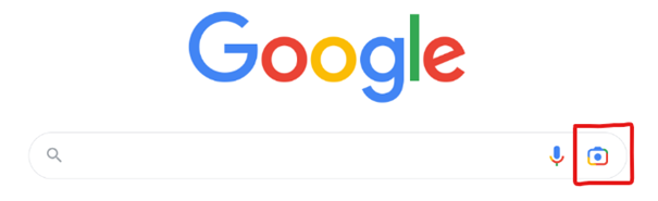 Google-Lens-Button